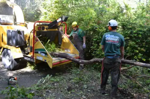 tree services Niceville